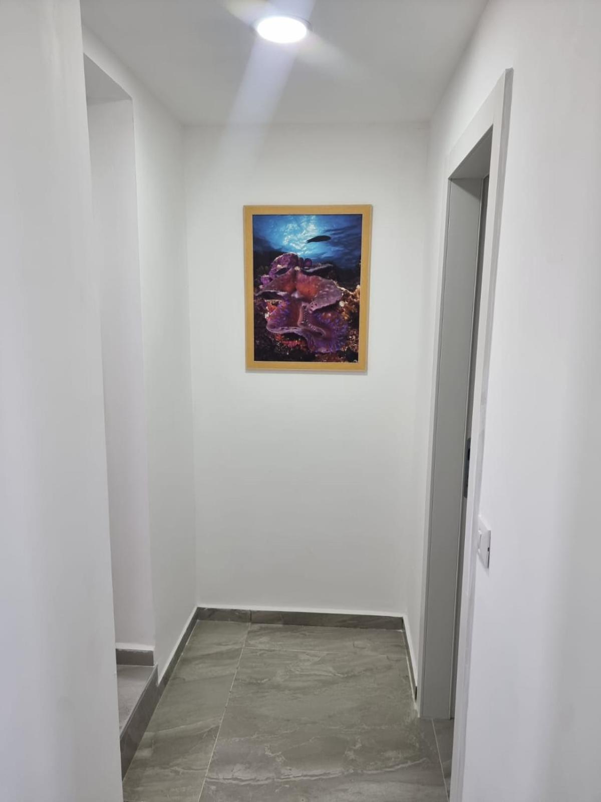 Апартаменти דירת גג נוף המפרץ 1105-6 Ейлат Екстер'єр фото